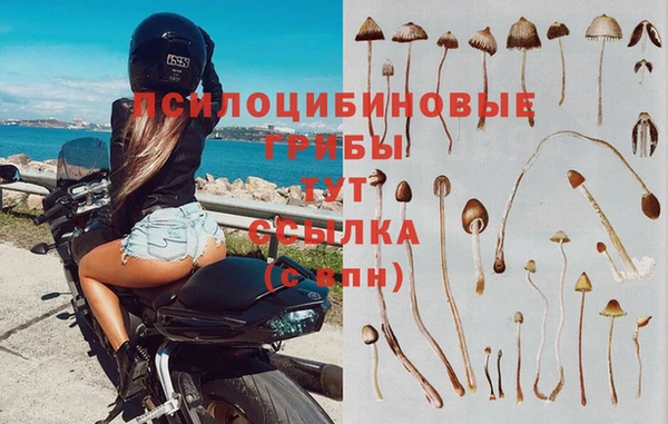 гашик Баксан