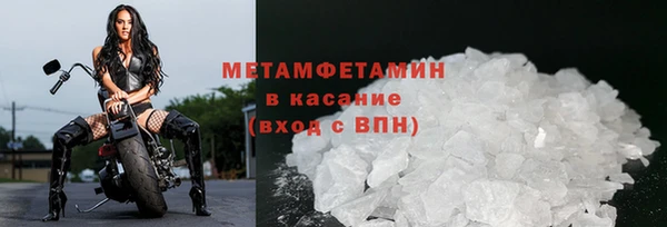 сатива Балахна