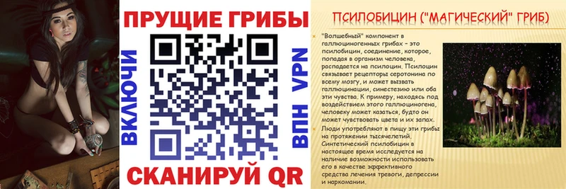 Галлюциногенные грибы MAGIC MUSHROOMS  купить закладку  OMG tor  Вяземский 